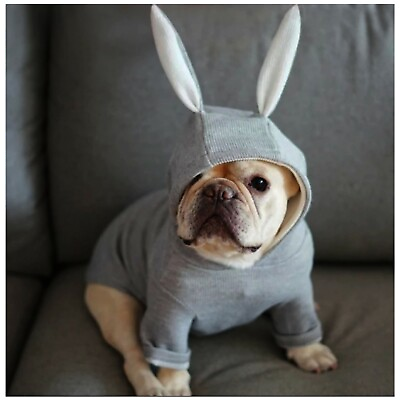 #ad Grey Dog Hoodie For Small Dogs and Cats With Rabbit Ears Small Dog Sweater $21.99