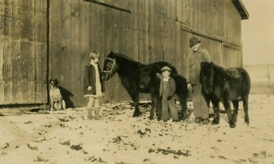Vintage Snapshot Photo Family Horses Dog Outside Barn Walla Walla WA $9.99