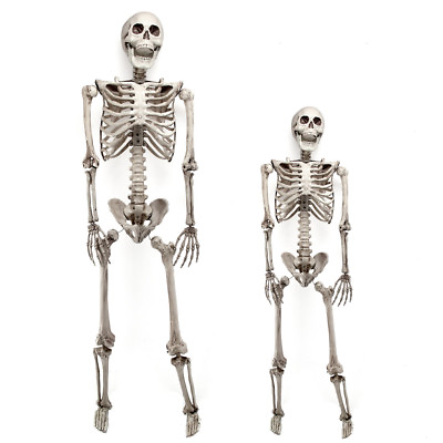 #ad 3 5.6 6.07ft Halloween Skull Skeleton Human Full Life Size Bone Prop Party Decor $21.99