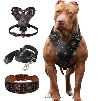 #ad Real Leather Dog Harness Dog Collar Leash Heavy Duty for Large Dogs Pitbull $24.99