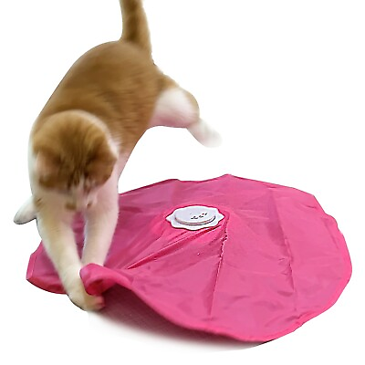 #ad UnderCover Mouse Interactive Cat Toy 2 in 1 Function $19.99