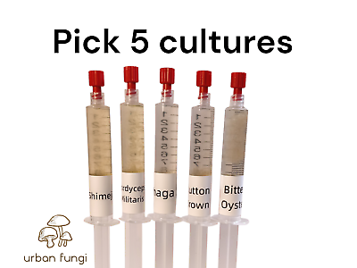 #ad Liquid Culture 5 Pack Pick Any From List Grow Mushrooms Instructions $75.27