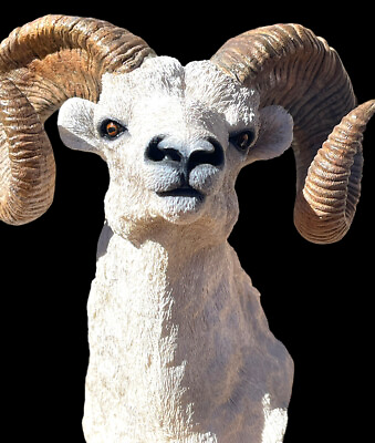 #ad Big Horn Sheep Ram Animal Bust Sculpture Simpkins 51476RB 7” T Mountain Goat $129.00