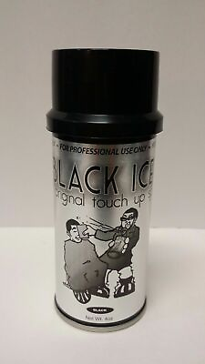 #ad Black Ice Original Chromatone Touch Up Spray Black 4 oz $23.95