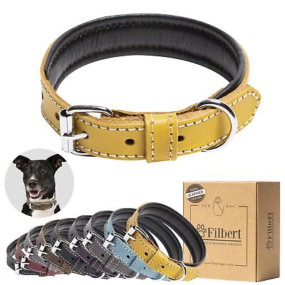 #ad Leather Dog Collar Genuine Leather Collar for Medium Dogs Premium Yellow Leat... $38.31