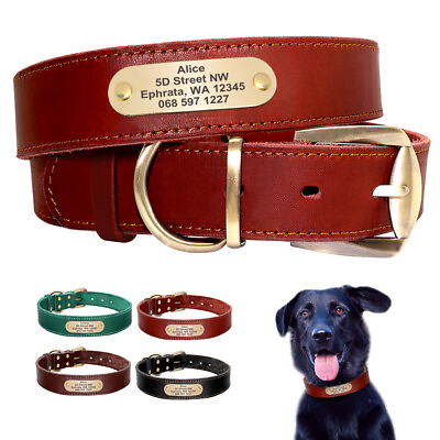#ad Genuine Leather Personalized Custom Dog Collar Free Engraved Name Address Phone $17.99