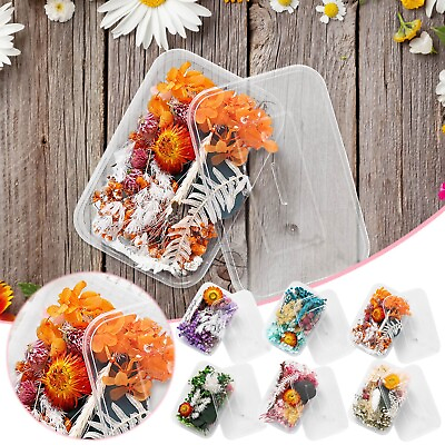#ad 1 Box Real Dried Flower Resin Fillings Expoxy Flower For Epoxy Resin Jewelry $6.29