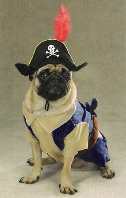 #ad Zack amp; Zoey Pirate Pup Dog Halloween Costume XS Pet $17.69