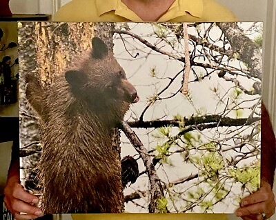 #ad limited edition wildlife prints $79.00