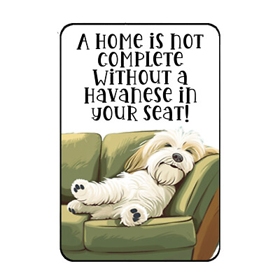 #ad Havanese Dog Fridge Magnet Spoiled Dog In Your Seat Havanese Collectible Magnet $9.86