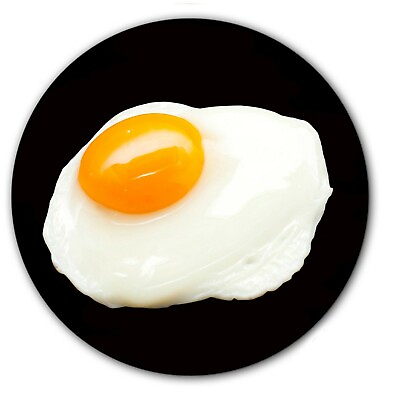 #ad Fried Egg #3 Food Theme 7quot; inch Slipmat Portablism Turntable Slip Mat DJ x1 $11.99