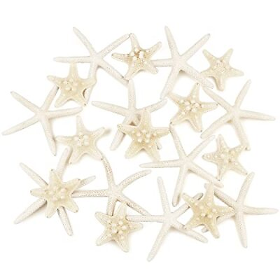 #ad 20 PCS Starfish 2 6 Inch Mixed Starfish Natural Seashells Starfish Star Fish ... $26.61