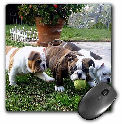 #ad 3dRose English Bulldogs Play Ball MousePad $16.99