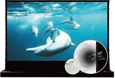 #ad VIVIDSTORM White Cinema Floor Projector Screen Sound Acoustic Transparent $1088.94