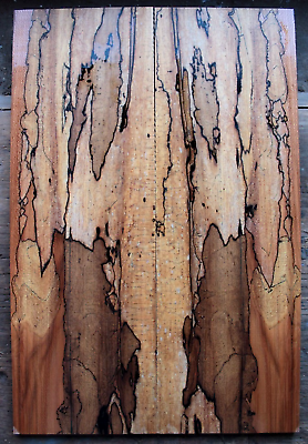#ad Spiderwebbing spalted ink line maple drop top .34quot; thk bass guitar luthier 2335 $99.99