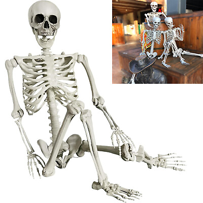 #ad 5.6ft 170cm Halloween Skeleton Human Full Body Bones Props Spooky Party Decor $49.50