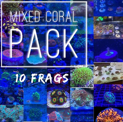 #ad Frag pack live coral 10 Mixed Frags Free Overnight Shipping $130.00