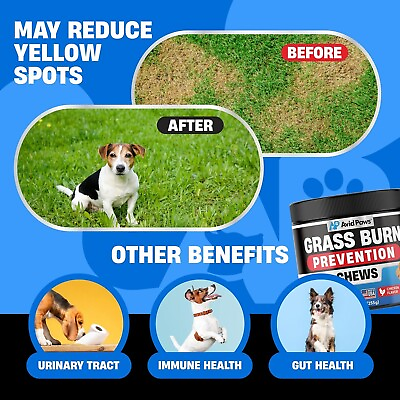 #ad GRASS BURN SPOT CHEWS FOR DOGS DOG URINE NEUTRALIZER FOR LAWN GRASS SPOT SAVERS $21.95