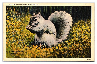 #ad VTG 1940s PA Nut Cracker Pennsylvania Game Commission Postcard UnPosted $4.56