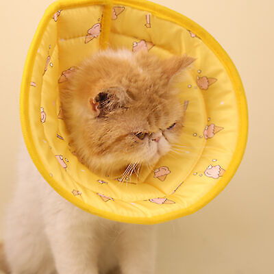 #ad Pet Recovery Collar Cartoon Shape Anti bite Pet Cat Dog Neck Cone Lightweight $11.37