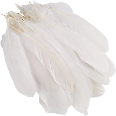 #ad ASTRQLE 200PCS 6 9inches White Natural Goose Feather for Wedding Party Home Deco $12.46