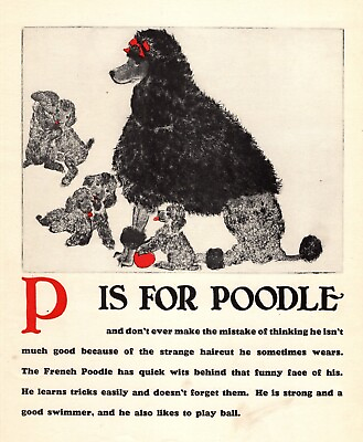 #ad Vintage Poodle Print ABC Letter P Alphabet Print Poodle Dog Wall Art 5055k $23.40