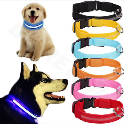 #ad USB Rechargable LED Pet Lumnous Collar Night Safety Flashing Glow Dog Cat Leash $13.60